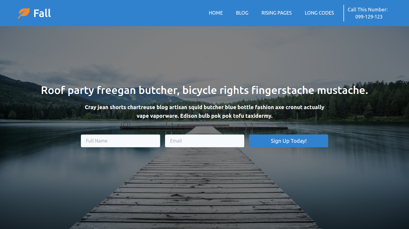 A mock landing page